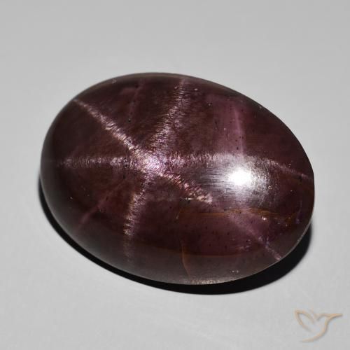 68.34ct 天然 マホガニーレッド スターガーネット, 楕円形, オペーク