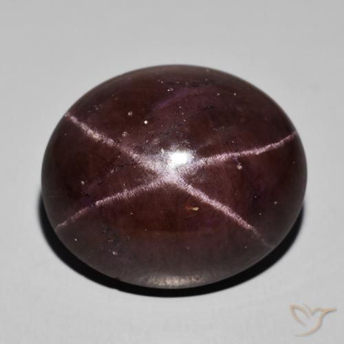 62.94ct 天然 ダークレッド スターガーネット, 楕円形, オペーク