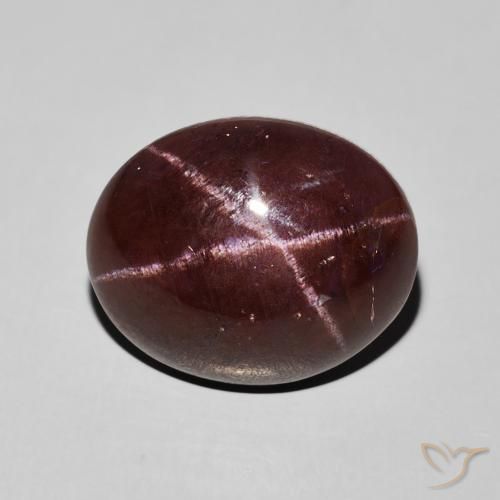 12.41ct 天然 マホガニーレッド スターガーネット, 楕円形, オペーク