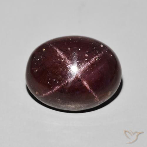 14.88ct 天然 ダークレッド スターガーネット, 楕円形, オペーク