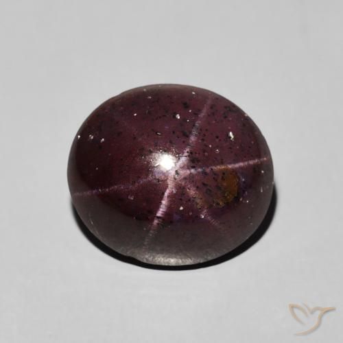 8.00ct 天然 マホガニーレッド スターガーネット, 楕円形, オペーク