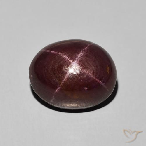 8.34ct 天然 マホガニーレッド スターガーネット, 楕円形, オペーク