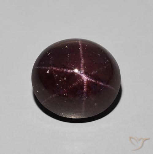 9.92ct 天然 ダークレッド スターガーネット, 楕円形, オペーク