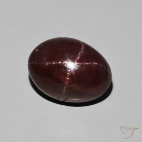 11.30ct 天然 ダークレッド スターガーネット, 楕円形, オペーク