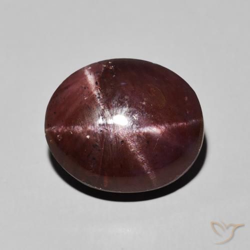 13.83ct 天然 マホガニーレッド スターガーネット, 楕円形, オペーク