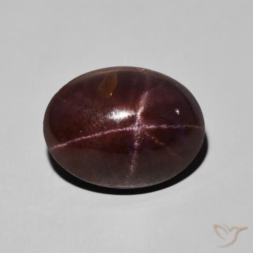 15.94ct 天然 マホガニーレッド スターガーネット, 楕円形, オペーク