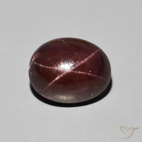 7.44ct 天然 ダークレッド スターガーネット, 楕円形, オペーク