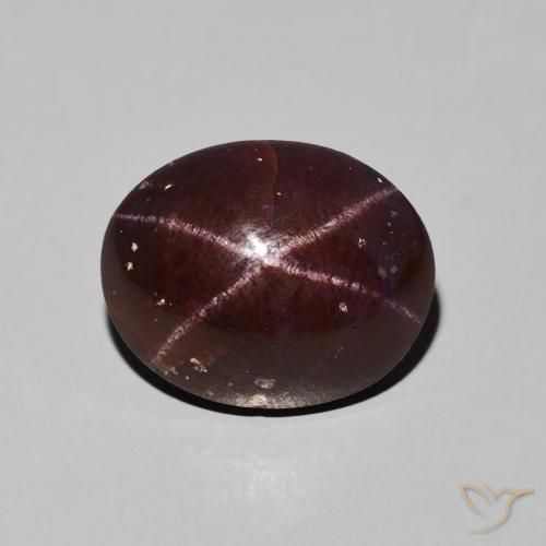 9.76ct 天然 ダークレッド スターガーネット, 楕円形, オペーク