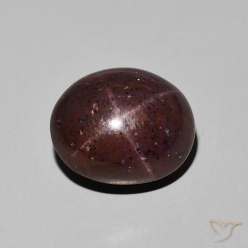 11.62ct 天然 ダークレッド スターガーネット, 楕円形, オペーク