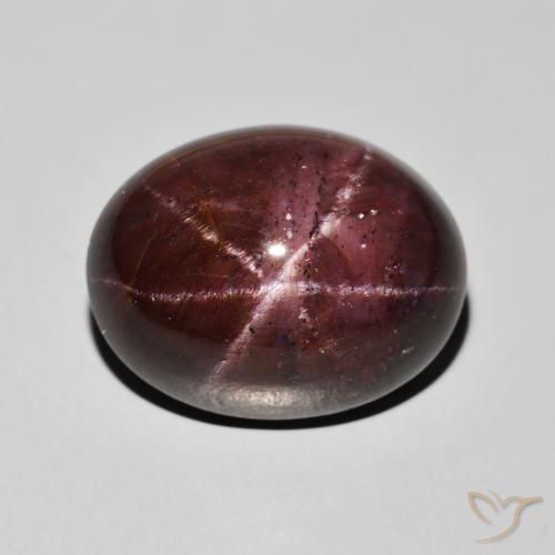 33.69ct 天然 ダークレッド スターガーネット, 楕円形, オペーク