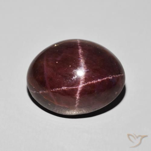 21.16ct 天然 ダークレッド スターガーネット, 楕円形, オペーク