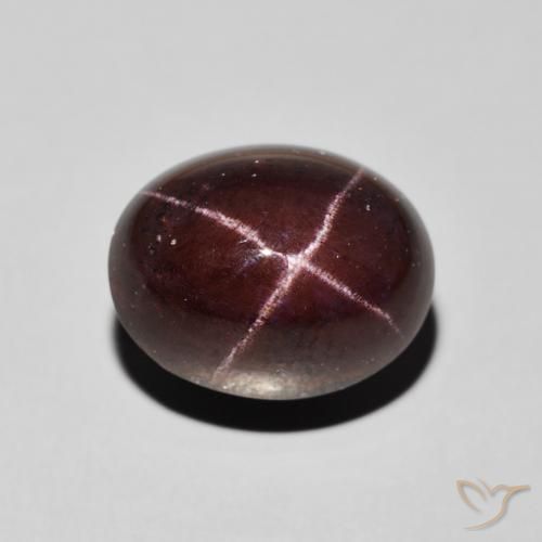 13.49ct 天然 ダークレッド スターガーネット, 楕円形, オペーク