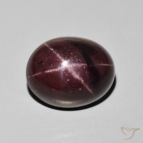 27.66ct 天然 ダークレッド スターガーネット, 楕円形, オペーク
