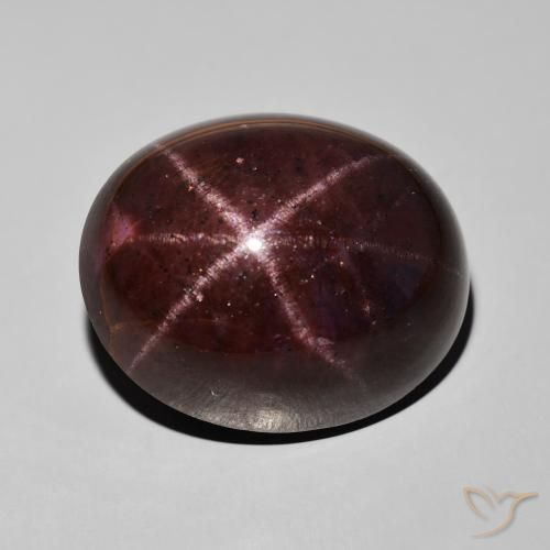 60.67ct 天然 マホガニーレッド スターガーネット, 楕円形, オペーク