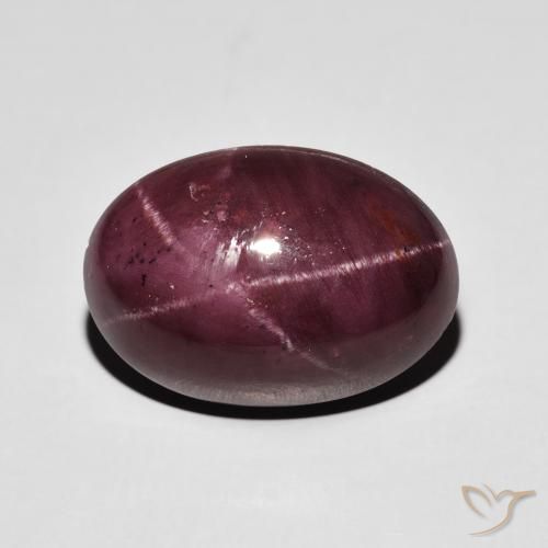 17.39ct 天然 ダークレッド スターガーネット, 楕円形, オペーク