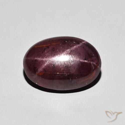 7.23ct 天然 ダークレッド スターガーネット, 楕円形, オペーク