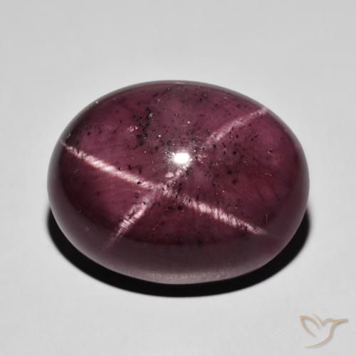 37.81ct 天然 ダークレッド スターガーネット, 楕円形, オペーク
