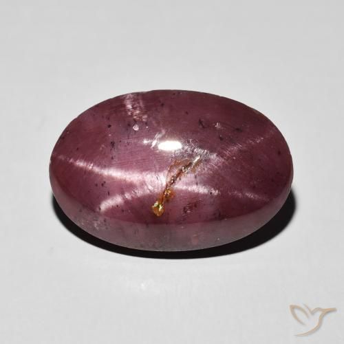 10.84ct 天然 ダークレッド スターガーネット, 楕円形, オペーク