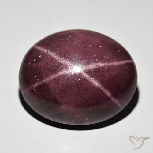 64.50ct 天然 マホガニーレッド スターガーネット, 楕円形, オペーク