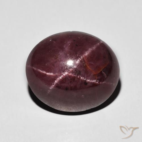 7.95ct 天然 ダークレッド スターガーネット, 楕円形, オペーク