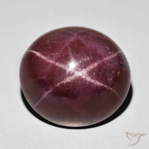 77.87ct 天然 マホガニーレッド スターガーネット, 楕円形, オペーク