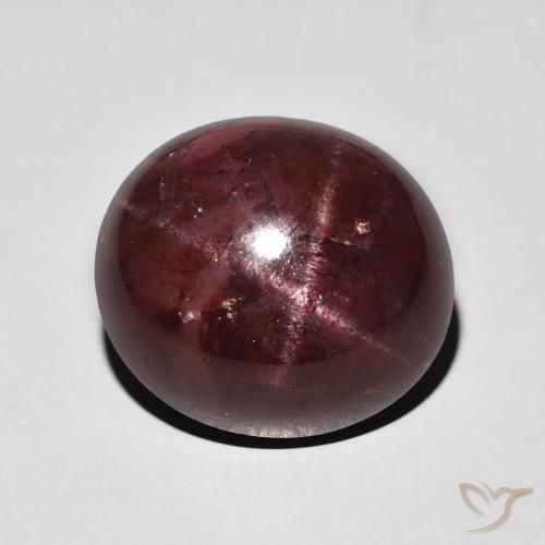 17.08ct 天然 マホガニーレッド スターガーネット, 楕円形, オペーク