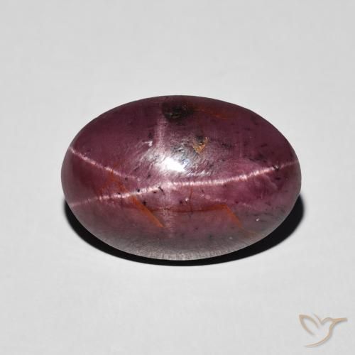 8.72ct 天然 Medium Dark-Red スターガーネット, 楕円形, オペーク
