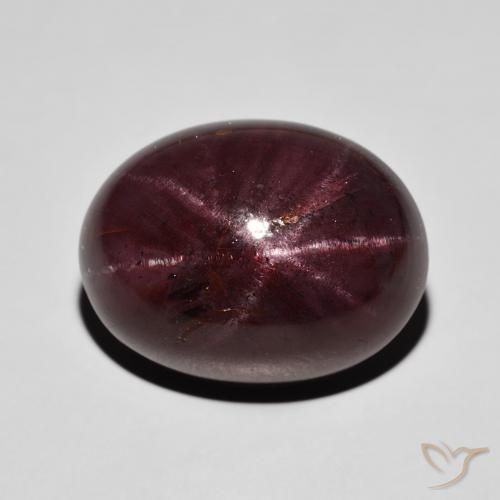 30.03ct 天然 ダークレッド スターガーネット, 楕円形, オペーク