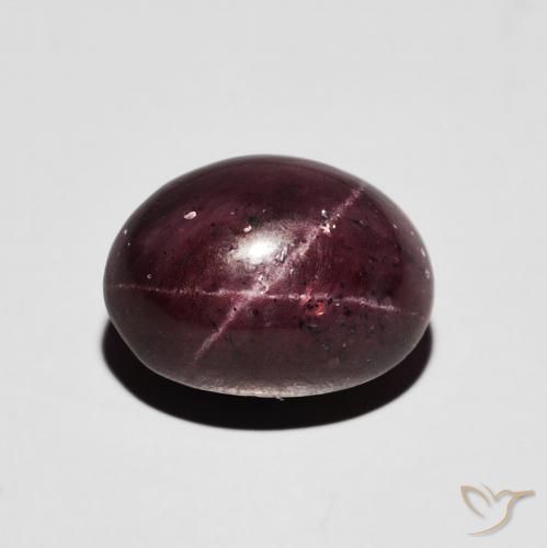 7.19ct 天然 ダークレッド スターガーネット, 楕円形, オペーク
