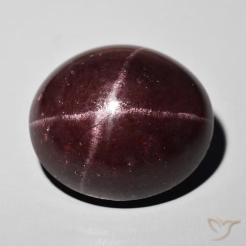 55.50ct 天然 ダークレッド スターガーネット, 楕円形, オペーク