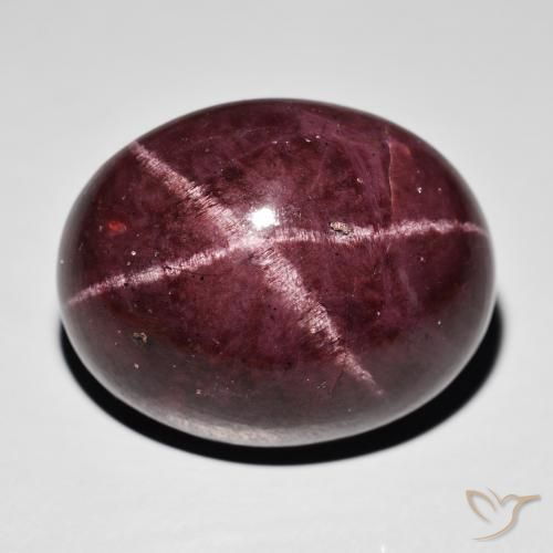 54.33ct 天然 マホガニーレッド スターガーネット, 楕円形, オペーク