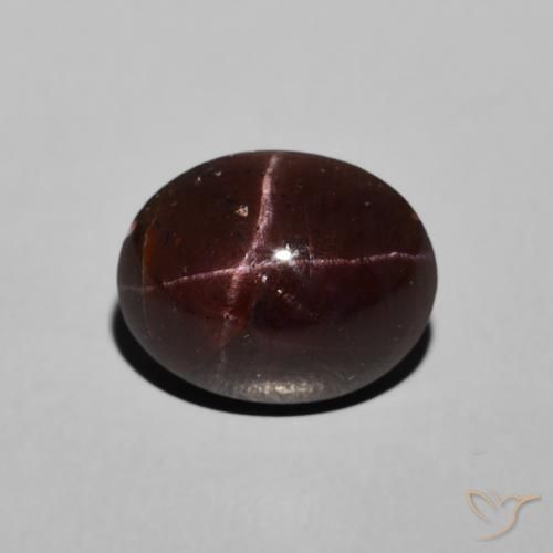 6.48ct 天然 ダークレッド スターガーネット, 楕円形, オペーク