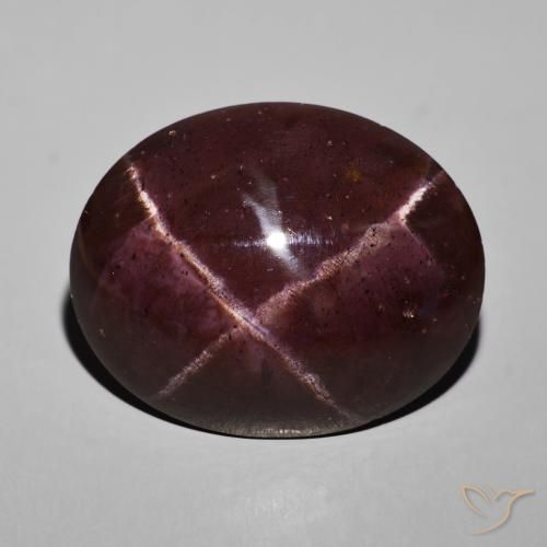 69.04ct 天然 マホガニーレッド スターガーネット, 楕円形, オペーク