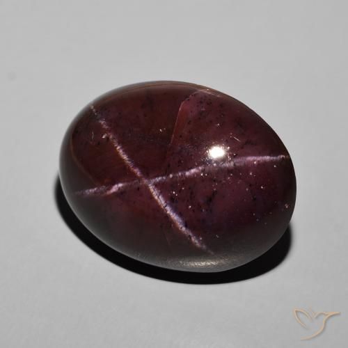 45.48ct 天然 ダークレッド スターガーネット, 楕円形, オペーク