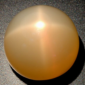25.04カラットの天然オレンジクリームスタームーンストーン（16.26 mm・透明）