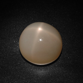 22.41カラットの天然オレンジクリームスタームーンストーン（16.50 mm・透明）