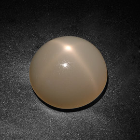 19.71カラットの天然オレンジクリームスタームーンストーン（17.79 mm・透明）