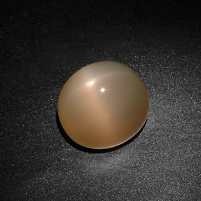 15.59カラットの天然オレンジクリームスタームーンストーン（14.5×13 mm・透明）