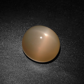 15.59カラットの天然オレンジクリームスタームーンストーン（14.5×13 mm・透明）