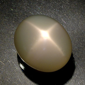 51.60カラットの天然クリームスタームーンストーン（22.3×19 mm・透明）