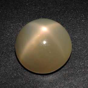 11.49カラットの天然オレンジクリームスタームーンストーン（14.01 mm・透明）