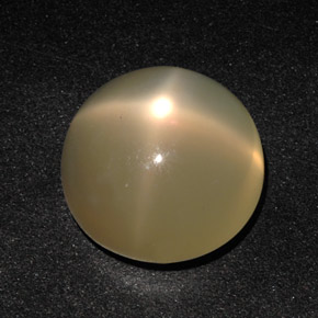 11.49カラットの天然オレンジクリームスタームーンストーン（14.01 mm・透明）
