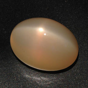 22.59カラットの天然ピーチオレンジスタームーンストーン（18.8×13.6 mm・オーバルカット）