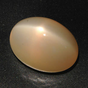 22.59カラットの天然ピーチオレンジスタームーンストーン（18.8×13.6 mm・オーバルカット）