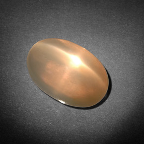 7.71カラットの天然オレンジクリームスタームーンストーン（14.1×9.4 mm・透明）