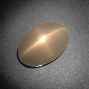 8.29カラットの天然クリームスタームーンストーン（14.6×9.8 mm・透明）
