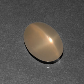 7.09カラットの天然オレンジクリームスタームーンストーン（15.1×11.1 mm・透明）