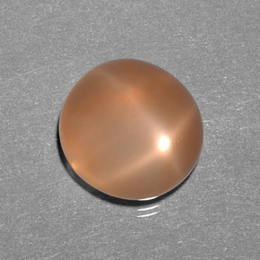 9.31カラットの天然ピーチオレンジスタームーンストーン（13.5×12.8 mm・透明）