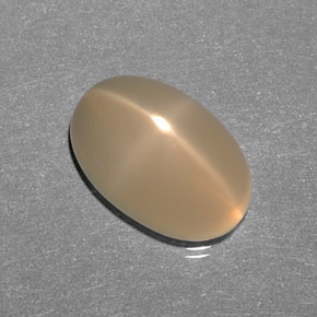 8.26カラットの天然クリーム色スタームーンストーン、透明、透明/半透明