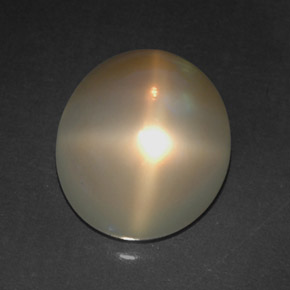 4.91カラットの天然オレンジクリームスタームーンストーン（10.9×9.7 mm・透明）